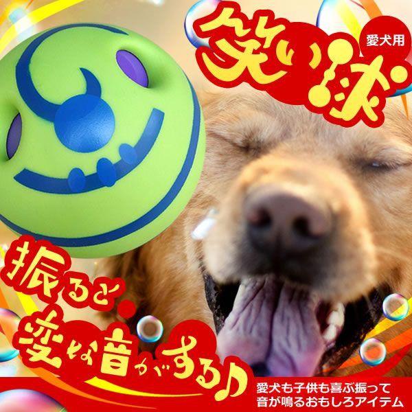 犬用 おもちゃボール ギガランキングｊｐ