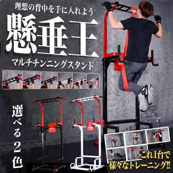 懸垂王 マルチ チンニングスタンド 懸垂マシン 筋肉 トレーニング Et Kensuioh E0531 6a Shop East 通販 Yahoo ショッピング