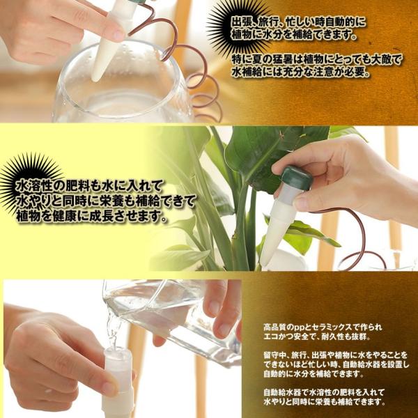 水やり当番 8個セット 観葉植物 自動水やり器 自動給水器 自宅 植木鉢 植物 留守中 園芸 盆栽 栄養 木 8 Mizutouban Buyee Buyee Japanese Proxy Service Buy From Japan Bot Online