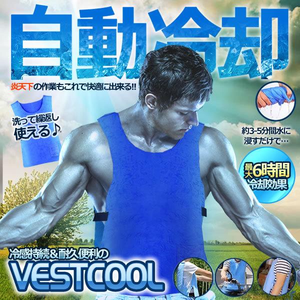 冷却グッズ 冷却ベストの人気商品 通販 価格比較 価格 Com