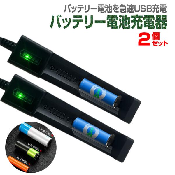 2個セット リチウムイオン 電池 充電器 急速充電 バッテリー