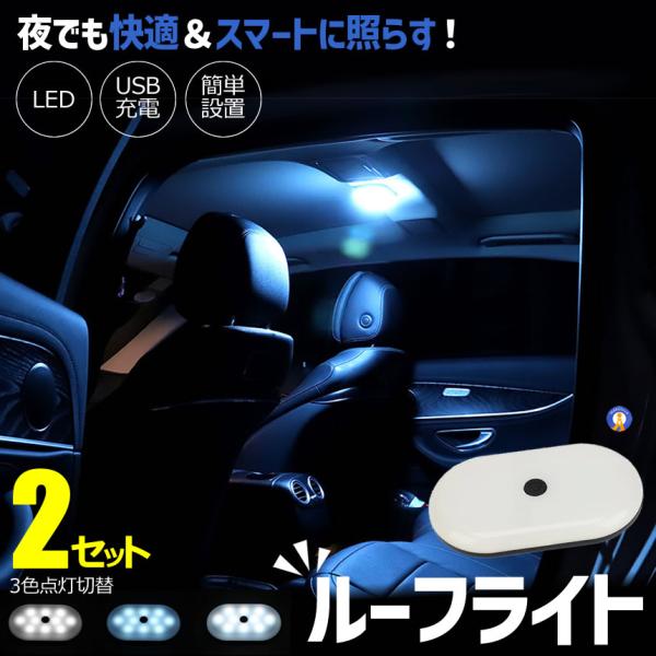 2セット LEDライト 充電式 ルーフライト 車内照明 読書灯 車載 タッチ操作 車内ランプ ルームライト BLRAI
