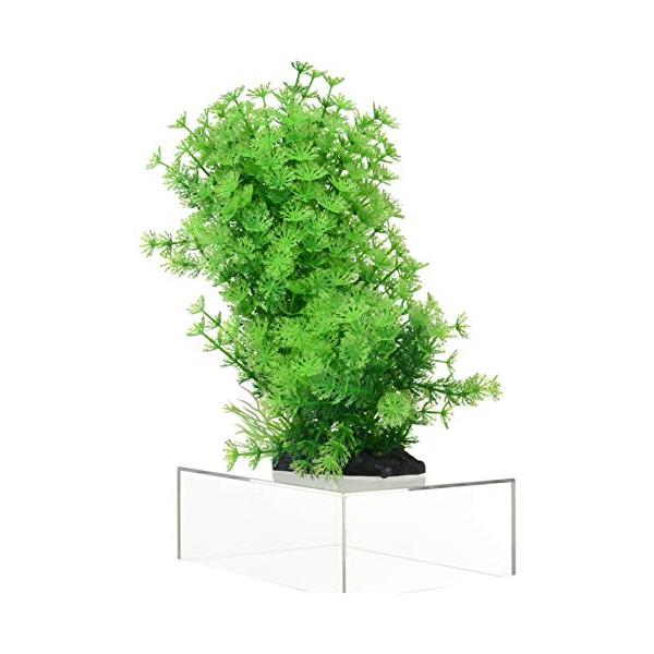 shopeevergreen_11520240220083714