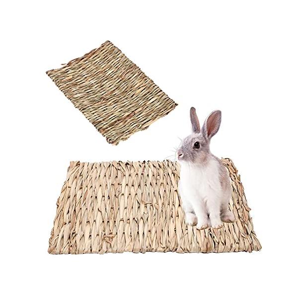 カラー：ベージュサイズ：2枚入【プレミアム天然素材】この製品は天然草で作られています、健康的で安全、かわいいペットにも安心です。【小動 物に適しています】サイズが小さいので、モルモット、ウサギ、チンチラ、ハムスター、コカトゥー、コンゴウイン...