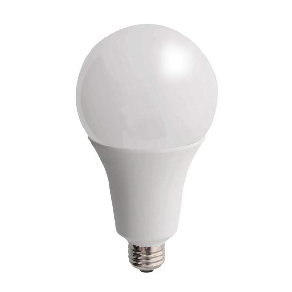 高儀(Takagi) EARTH MAN LED電球 22W 昼光色 LL-22A