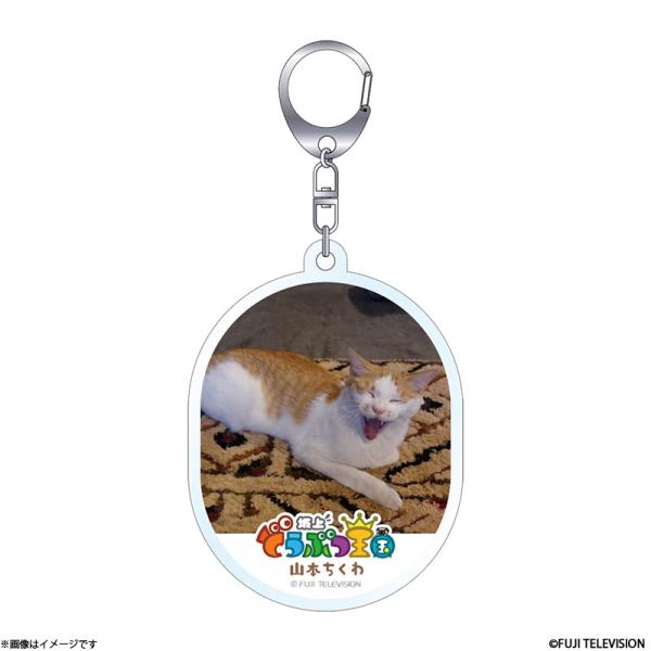 坂上どうぶつ王国 ディレクターセレクト アクリルキーホルダー 山本ちくわ