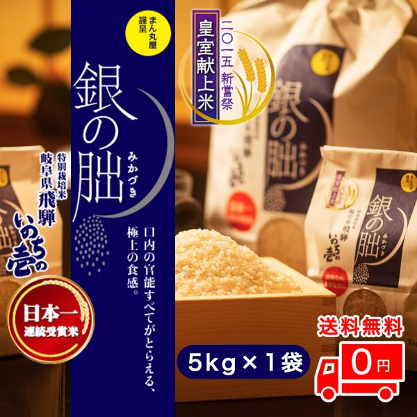 銀の朏」の人気商品一覧・価格比較 - 価格.com