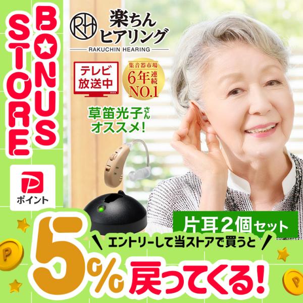 集音器 楽ちんヒアリング SK-05 片耳2個セット 送料無料 ショップ