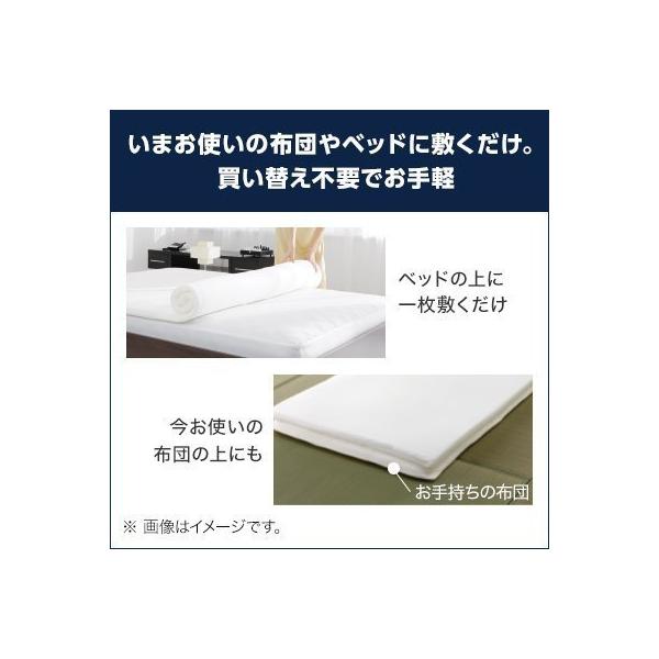 shopjapan_trsp-smr_10