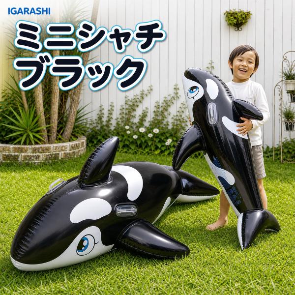フロート イガラシ ミニシャチ シャチ ブラック 130×83cm 子供用