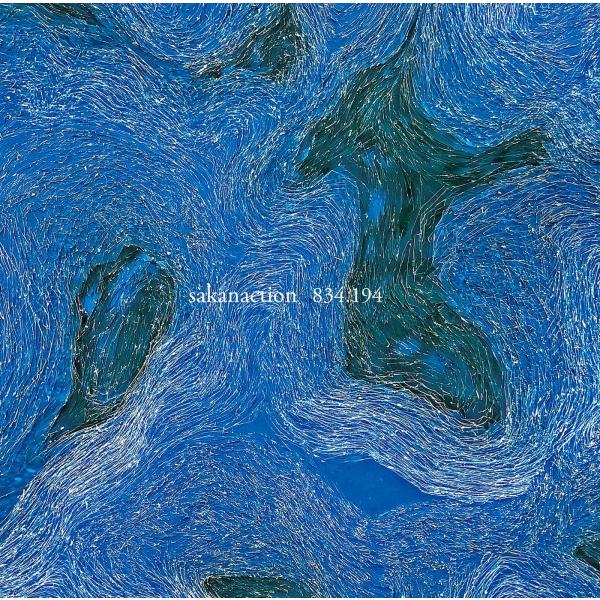 サカナクション 834.194＜生産限定盤＞【生産限定アナログ盤】180g重量盤アナログ 4LP LPレコード VIJL-60412【キャンセル不可】【新品】【日本国内正規品】