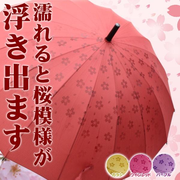 雨傘 あら不思議 雨に濡れるとさくら模様が浮き出る不思議な傘 桜16本骨傘 ネットショップカズ 通販 Yahoo ショッピング