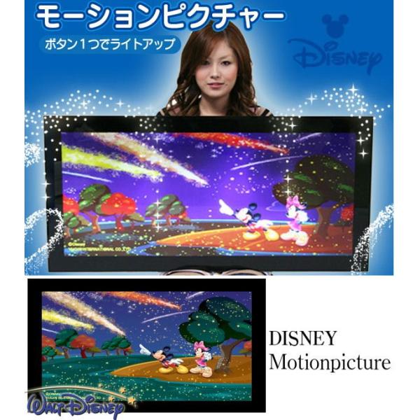 Disney ディズニー モーションピクチャー Dsmp 003 心落ちつく綺麗なディズニーモーションピクチャーです Buyee Servis Zakupok Tretim Licom Buyee Pokupajte Iz Yaponii