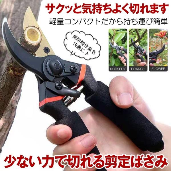 錆びにくく長持ち！フッ素加工の高性能剪定ばさみガーデニングのプロも驚く切れ味を実現！高硬度SK5鋼の刃は、太い枝もサクッと切断。驚異的な切れ味を体験してください。フッ素加工により、刃は錆びにくく、長期間その鋭さを保ちます。メンテナンスが簡単...