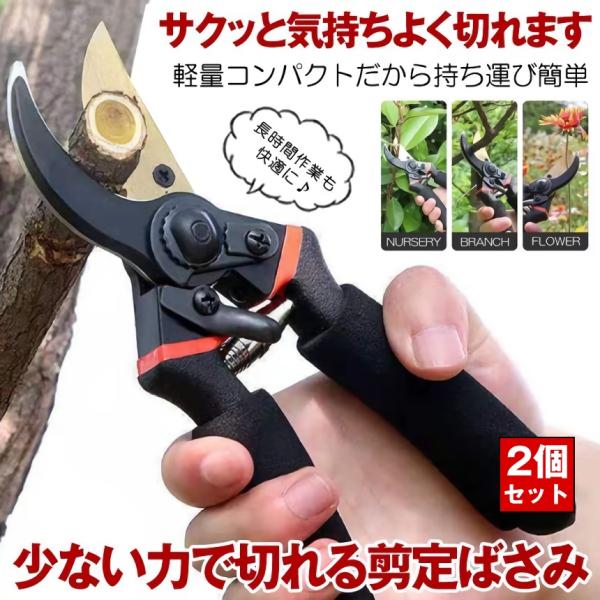 剪定ばさみ ハサミ 枝切りバサミ 剪定はさみ 錆びにくい フッ素
