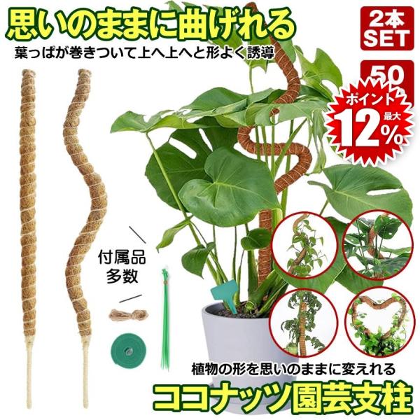 50cmｘ2本タイプです。他のサイズはショップ内「ココスティック」で検索！30cm、40cm、50cm、60cm、70cm、80cm■庭園DIY■弊社の曲がる園芸支柱は、ハート型、アーチ型、曲線型など、お好みの形状に自由自在に曲げることがで...