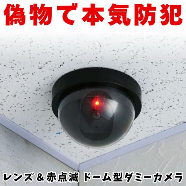 ダミー カメラ ドーム型 防犯カメラ フェイク 監視カメラ 点滅