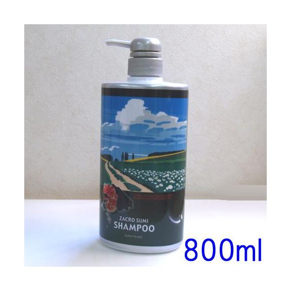 剪断 明快 遷移 炭 炭酸 シャンプー Club Pallas Jp