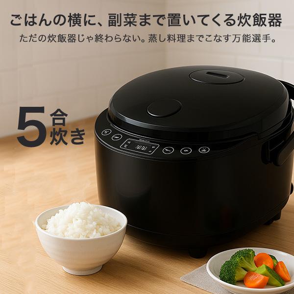 炊飯器 5合 マイコン式炊飯器 通常炊飯 保温＆予約OK 大容量 スチーム調理 早炊き 炊込み 玄米 お粥 再加熱 保温 RM-231H