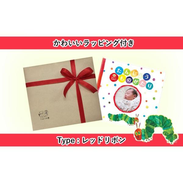 ラッピング レッドリボン たんじょうものがたり With はらぺこあおむし 手作り 絵本アルバムブック Buyee Buyee Japanese Proxy Service Buy From Japan Bot Online
