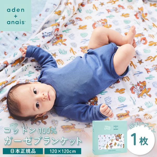 aden+anais（エイデンアンドアネイ） ブランケット トイストーリー 120