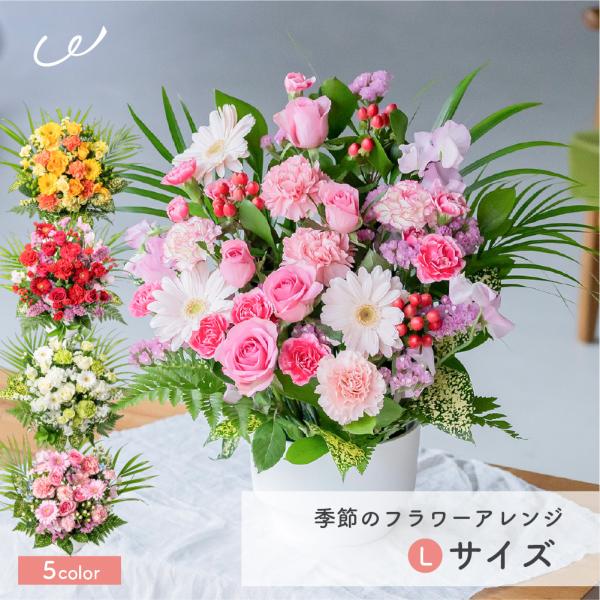 ◆商品説明旬のおまかせアレンジメント。そのまま飾れる季節感あふれるお花をお届け！フラワーギフトとして人気のバラとカーネーションに、季節のお花をたっぷりアレンジしたカラフルガーデン。そのまま飾れるアレンジメントなので、ご自宅用でも、ちょっとし...