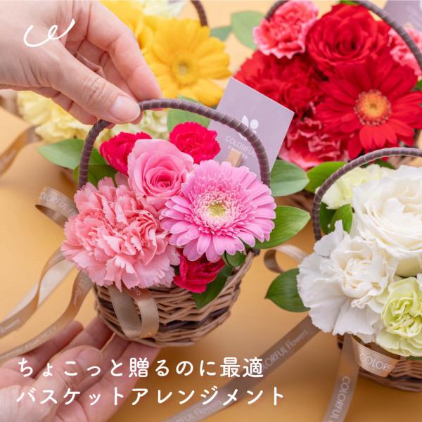 ◆商品名バスケットアレンジメント ミニサイズ 生花 花束 フラワーアレンジ◆商品説明ちょっとした贈り物に最適。ミニサイズが嬉しいアレンジ。贈り物が少し寂しいときにおすすめのバスケットアレンジメント。ミニサイズなのに安っぽくない!ギフトに華や...