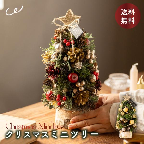 shoppress_cfxmas-tr