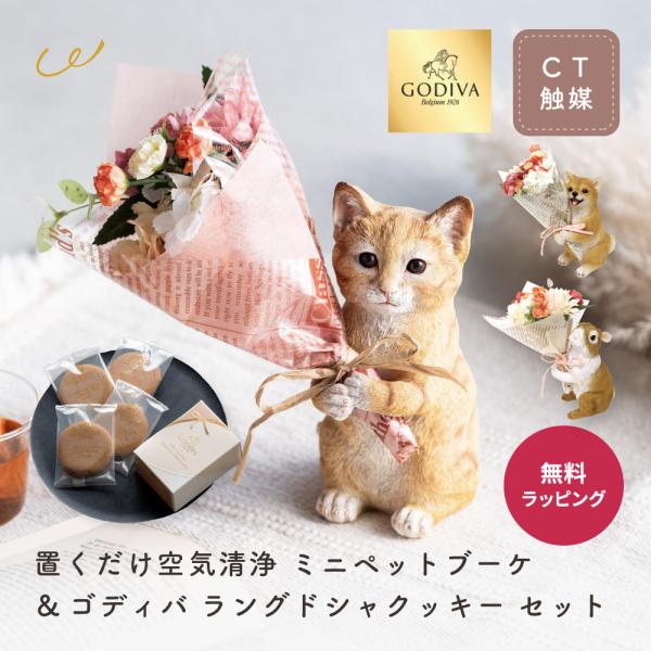 ●品名置くだけ空気清浄 ミニペットブーケ＆GODIVA ラングドシャクッキー セット[母の日 2025 花 プレゼント]●セット内容置くだけ空気清浄 ミニペットブーケ専用BOXGODIVAラングドシャクッキー（4枚入り）ゴディバ専用ショッパ...