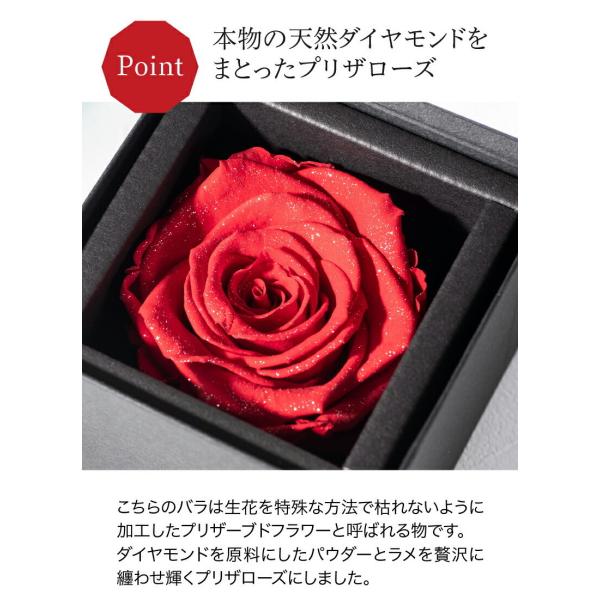 �_�C�������h���[�Y �v���U�u�[�h�t�����[ �o�� �K�N �M�t�g �t�����[ �� �����L�O�� ���� ���f�B�[�X 40�� 50�� 60�� ������� �������� ���i�摜2