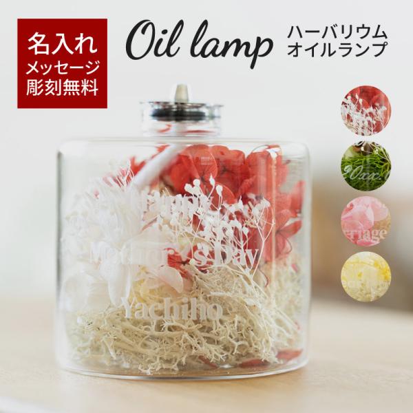 ICv  KX  n[oE O t[  Mtg v t[  fB[X  