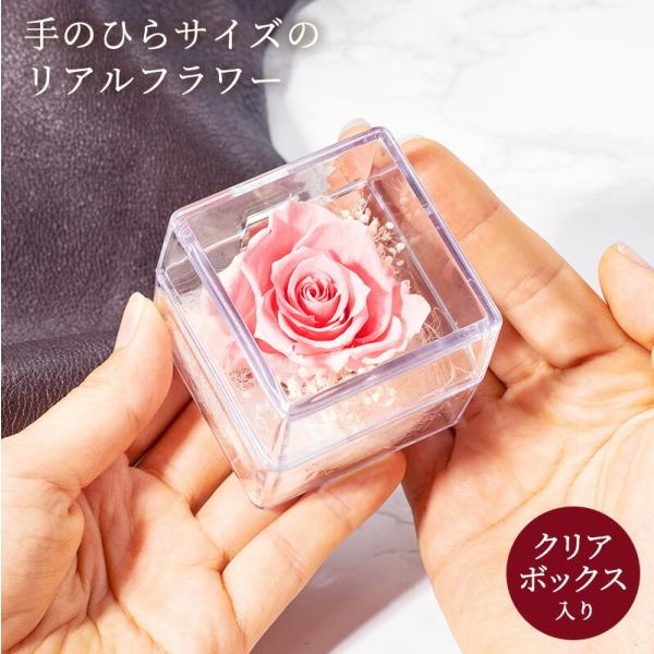 プリザーブドフラワー プレゼント 結婚記念日 お誕生日 結婚祝い 退職祝い 送別会 定年 卒業 発表会 お見舞い フラワーギフト お花 造花 かわいい プレゼントと一緒に・原材料プリザーブドフラワー、アクリルボックス・カラーピンク・サイズ幅...