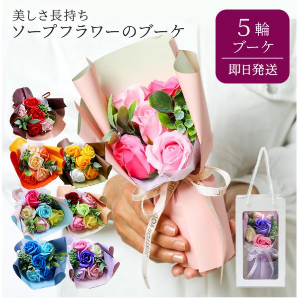 \[vt[ X^hL[g V{u[P5 ԑ  v[g Mtg j  e ~ju[P Ό a LO 蕨