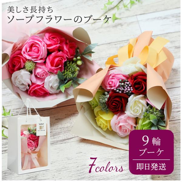 \[vt[ X^hL[g V{u[P9 ԑ  u[P  Mtg j  v[g e