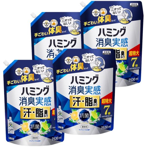 ハミング ケース販売 消臭実感 柔軟剤 汗・脂臭タイプ シトラスの香り つめかえ用 2,530ml×4個 大容量