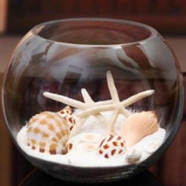 金魚鉢 テラリウム 花瓶 ガラス おしゃれ 丸い cm Buyee Buyee Japanischer Proxy Service Kaufen Sie Aus Japan