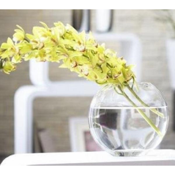 金魚鉢 テラリウム 花瓶 ガラス おしゃれ 丸い 22cm Buyee Buyee Japanese Proxy Service Buy From Japan Bot Online