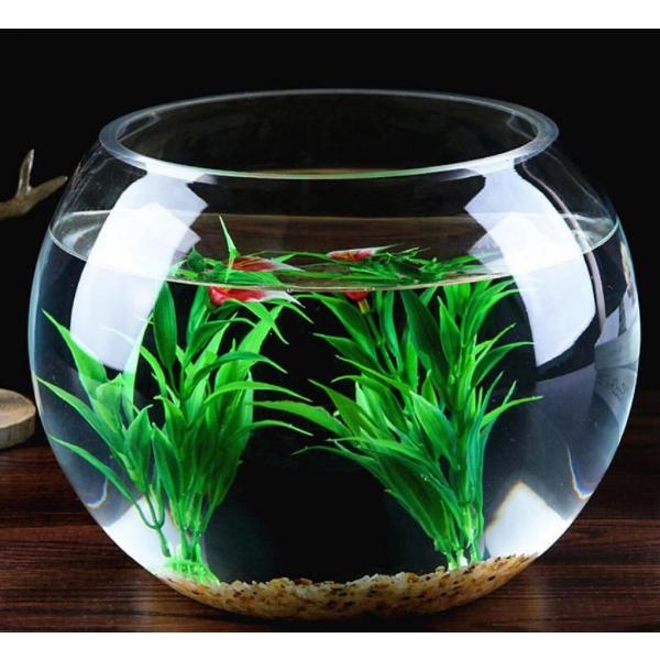 金魚鉢 テラリウム 花瓶 ガラス おしゃれ 丸い 18cm Buyee Buyee Japanese Proxy Service Buy From Japan Bot Online