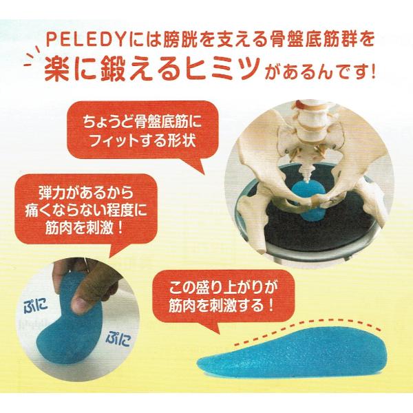 骨盤底筋筋力アップモレ予防一日５分の小運動 Buyee Buyee 提供一站式最全面最專業現地yahoo Japan拍賣代bid代拍代購服務