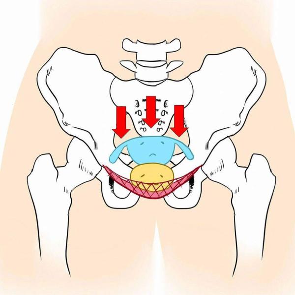 骨盤底筋筋力アップモレ予防一日５分の小運動 Buyee Buyee 提供一站式最全面最專業現地yahoo Japan拍賣代bid代拍代購服務
