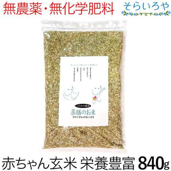 お米(玄米) 安心米 しょうがご飯（玄米入り） 100g×15袋／箱