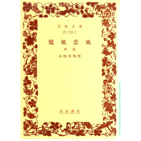 小杉　天外 著                                                          岩波文庫                                               ■体裁＝...