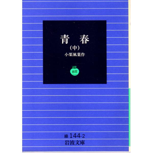 小栗　風葉 著                                                                                     岩波文庫                        ...