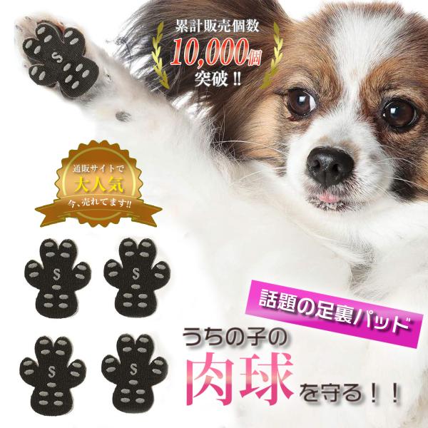 ◯◯様用】実物お写真 ペット 滑止 肉球 足裏 犬 (36cm 単位売)