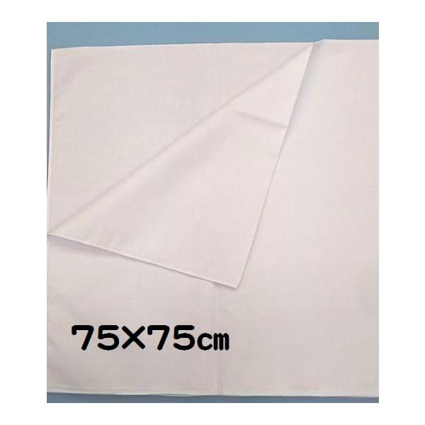 ＊メール便 （ポスト投函）1〜3日で発送予定です。実店舗販売もしている為、売り違いで発送が1〜2日多くなる場合もございます。色々な用途で使えます。・ガーデニング、農作業、包装、風呂敷・津軽ではおもに作業用に使われる方がおおいです。サイズ：　...