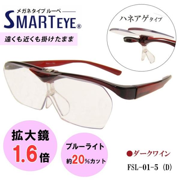 SMART EYE g勾 1.6{ ˏグ Kl^Cv [y X}[gAC O u[CgJbg FSL-01-5 (4) 