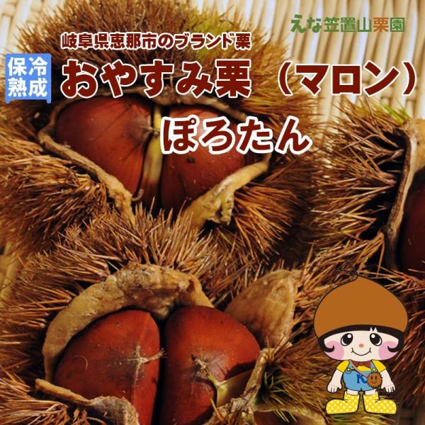 【保冷熟成】岐阜県えな笠置山栗園の甘和栗「おやすみ栗 ぽろたん」2L 2kg 【国産恵那栗・無燻蒸・生栗】【クール便】
