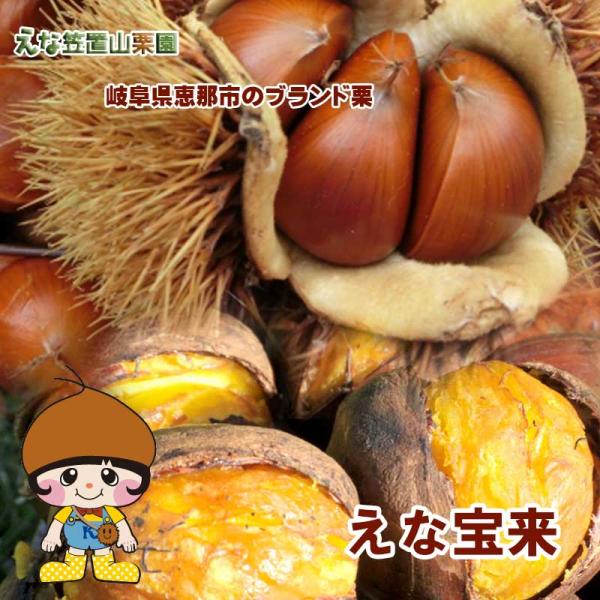 岐阜県えな笠置山栗園の和栗「えな宝来」2L 1kg 【国産恵那栗・無燻蒸・生栗】【クール便】