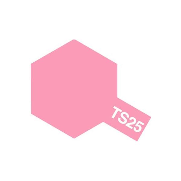 ^~J[Xv[TS-25 sN