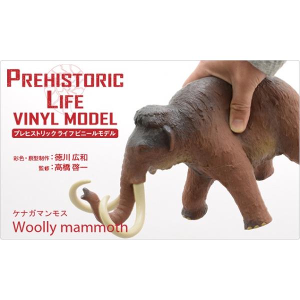 PiK}X rj[f (FP-302)@p-61188